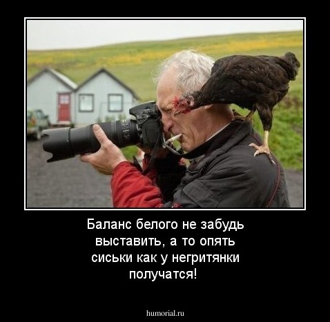 Баланс белого не забудь выставить, а то опять сиськи как у негритянки получатся!
