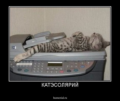 КАТЭСОЛЯРИЙ