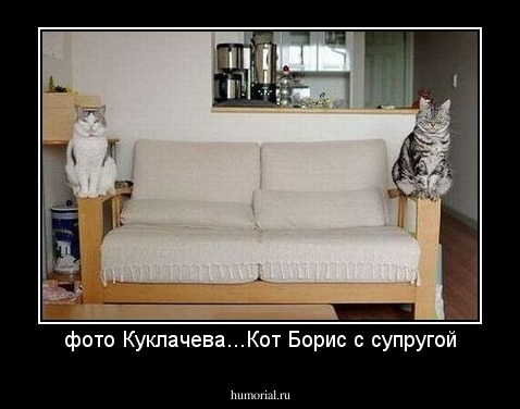 фото Куклачева...Кот Борис с супругой