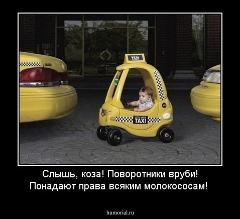 Слышь, коза! Поворотники вруби! Понадают права всяким молокососам!