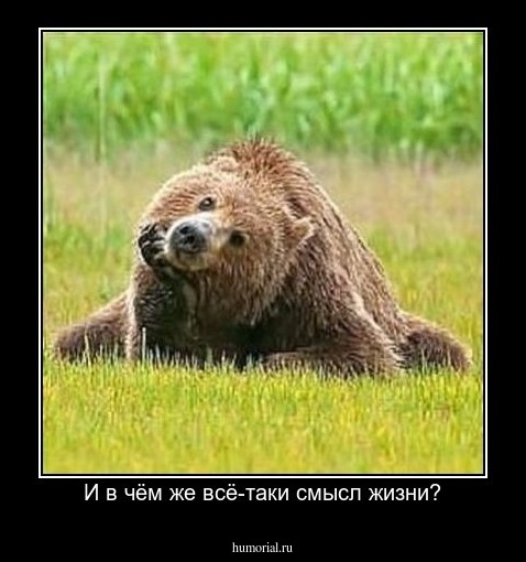 И в чём же всё-таки смысл жизни?