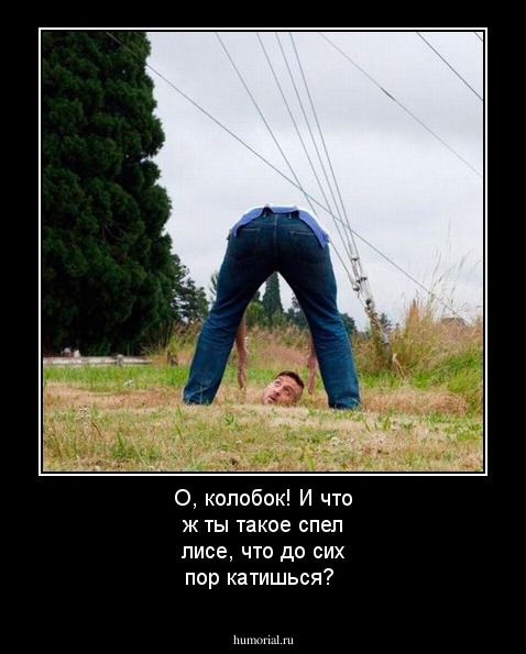 О, колобок! И что ж ты такое спел лисе, что до сих пор катишься?