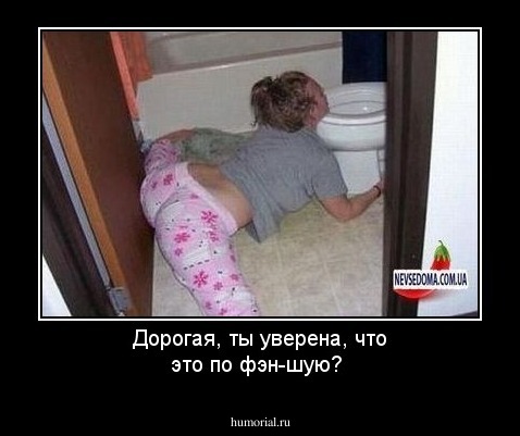 Дорогая, ты уверена, что это по фэн-шую? 