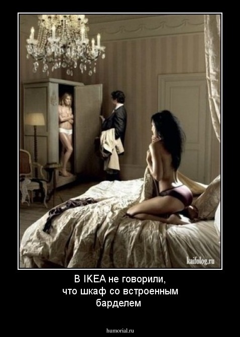 В IKEA не говорили, что шкаф со встроенным барделем