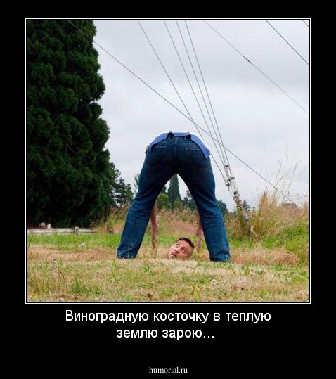 Виноградную косточку в теплую землю зарою...