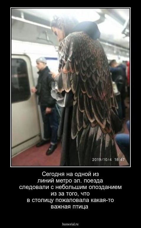 Сегодня на одной из линий метро эл. поезда следовали с небольшим опозданием из за того, что в столицу пожаловала какая-то важная птица