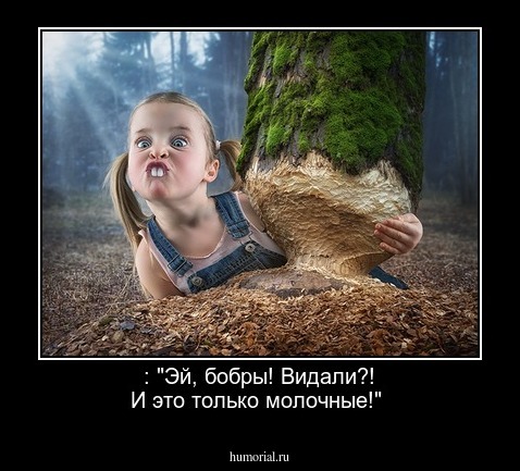  : "Эй, бобры! Видали?! И это только молочные!"