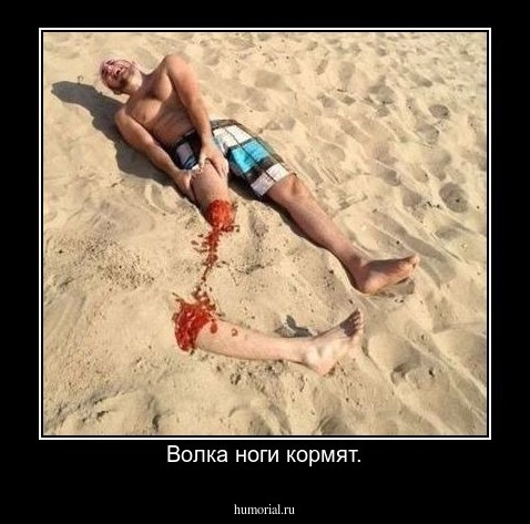 Волка ноги кормят.