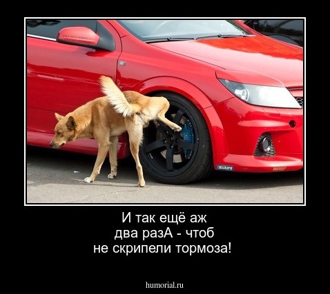 И так ещё аж два разА - чтоб не скрипели тормоза!