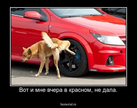 Вот и мне вчера в красном, не дала.