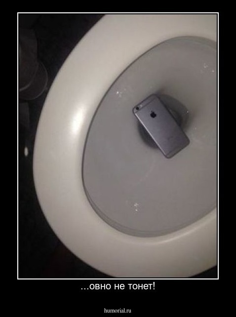 ...овно не тонет!