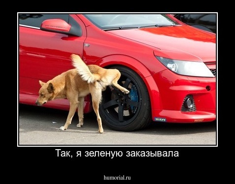 Так, я зеленую заказывала