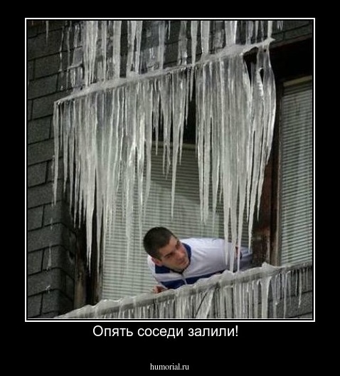 Опять соседи залили!  