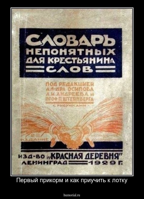Первый прикорм и как приучить к лотку