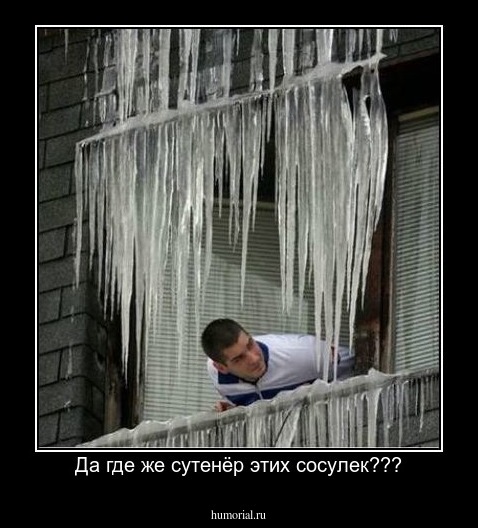 Да где же сутенёр этих сосулек???