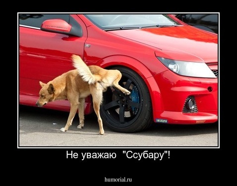Не уважаю  "Ссубару"!