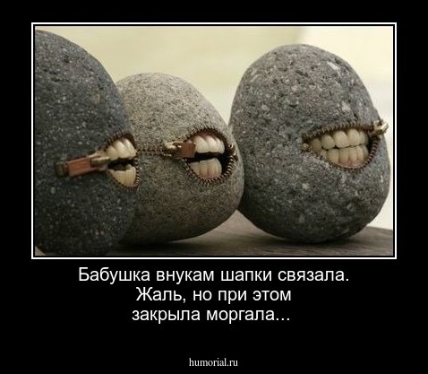  Бабушка внукам шапки связала. Жаль, но при этом закрыла моргала...
