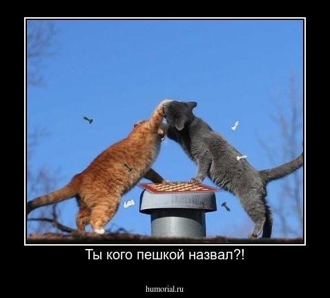 Ты кого пешкой назвал?!