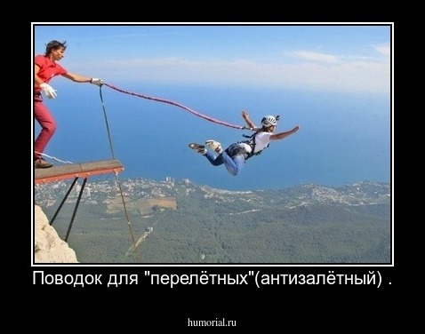 Поводок для "перелётных"(антизалётный) .