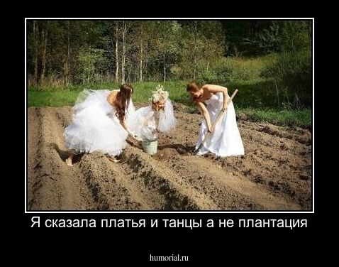 Я сказала платья и танцы а не плантация