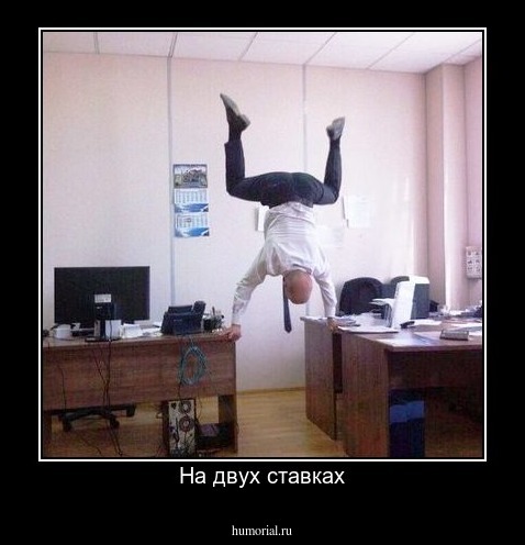 На двух ставках