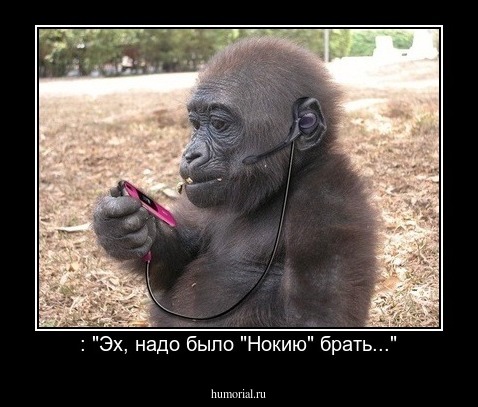 : "Эх, надо было "Нокию" брать..."