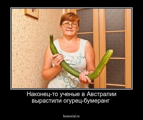 Наконец-то ученые в Австралии вырастили огурец-бумеранг 