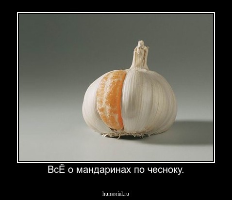 ВсЁ о мандаринах по чесноку.