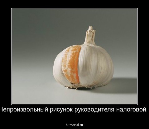 Непроизвольный рисунок руководителя налоговой.