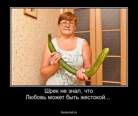 Шрек не знал, что Любовь может быть жестокой...