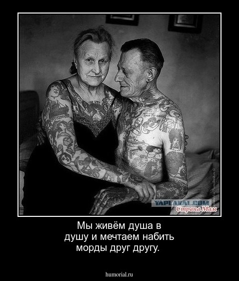 Мы живём душа в душу и мечтаем набить морды друг другу.