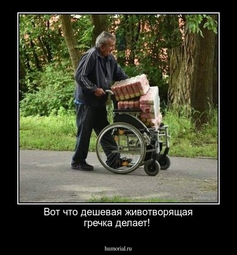  Вот что дешевая животворящая гречка делает!