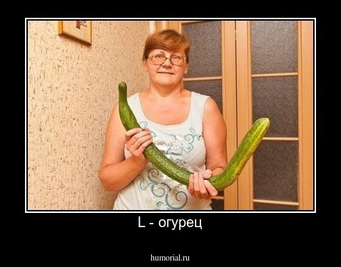 L - огурец