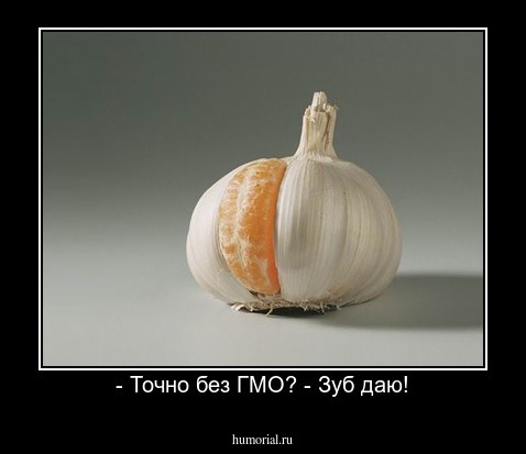 - Точно без ГМО? - Зуб даю!
