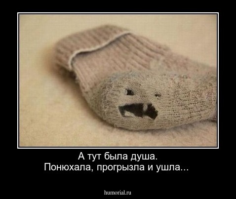 А тут была душа. Понюхала, прогрызла и ушла...