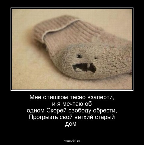 Мне слишком тесно взаперти, и я мечтаю об одном
Скорей свободу обрести, 
Прогрызть свой ветхий старый дом