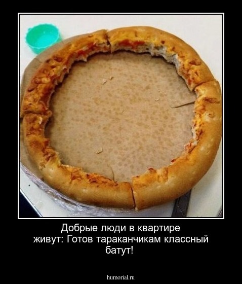  Добрые люди в квартире живут: Готов тараканчикам классный батут!