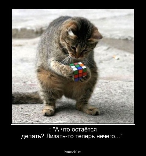 : "А что остаётся делать? Лизать-то теперь нечего..."