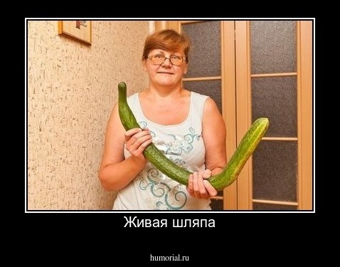Живая шляпа