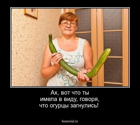 Ах, вот что ты имела в виду, говоря, что огурцы загнулись!