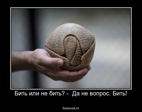 Бить или не бить? -  Да не вопрос. Бить!