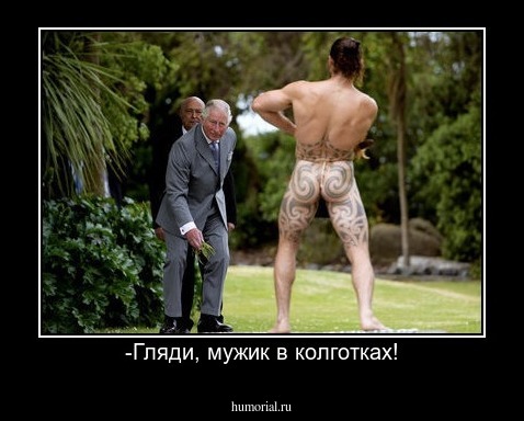 -Гляди, мужик в колготках!