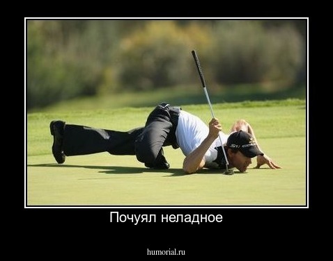 Почуял неладное