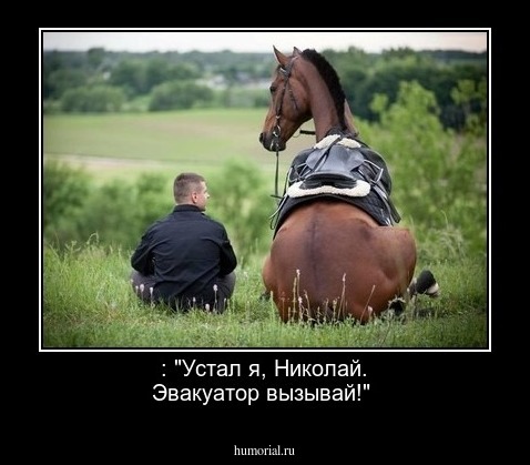 : "Устал я, Николай.  Эвакуатор вызывай!"