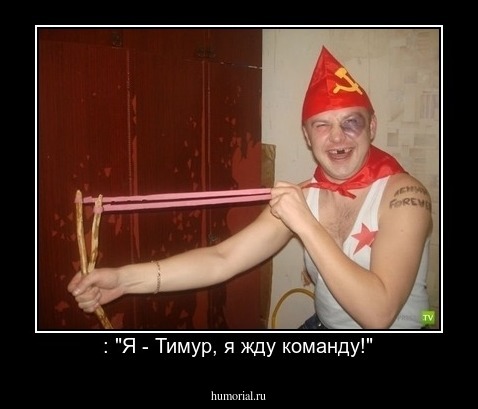 : "Я - Тимур, я жду команду!"