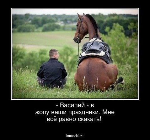 - Василий - в жопу ваши праздники. Мне всё равно скакать!
