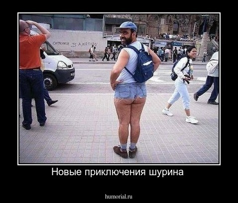 Новые приключения шурина 