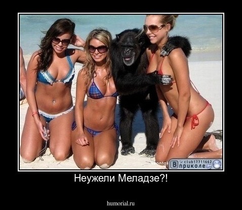 Неужели Меладзе?!