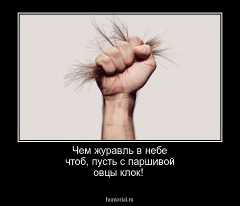 Чем журавль в небе чтоб, пусть с паршивой овцы клок!