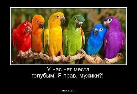 У нас нет места голубым! Я прав, мужики?!
